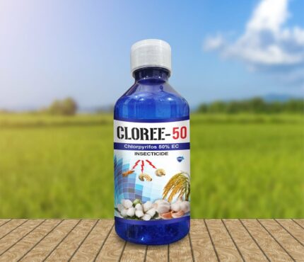 Cloree