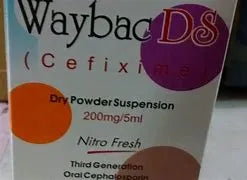 Waybac Ds